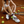 FELT BURGUNDY semelle — gomme recyclée balles de tennis et padel | Balao Shoes